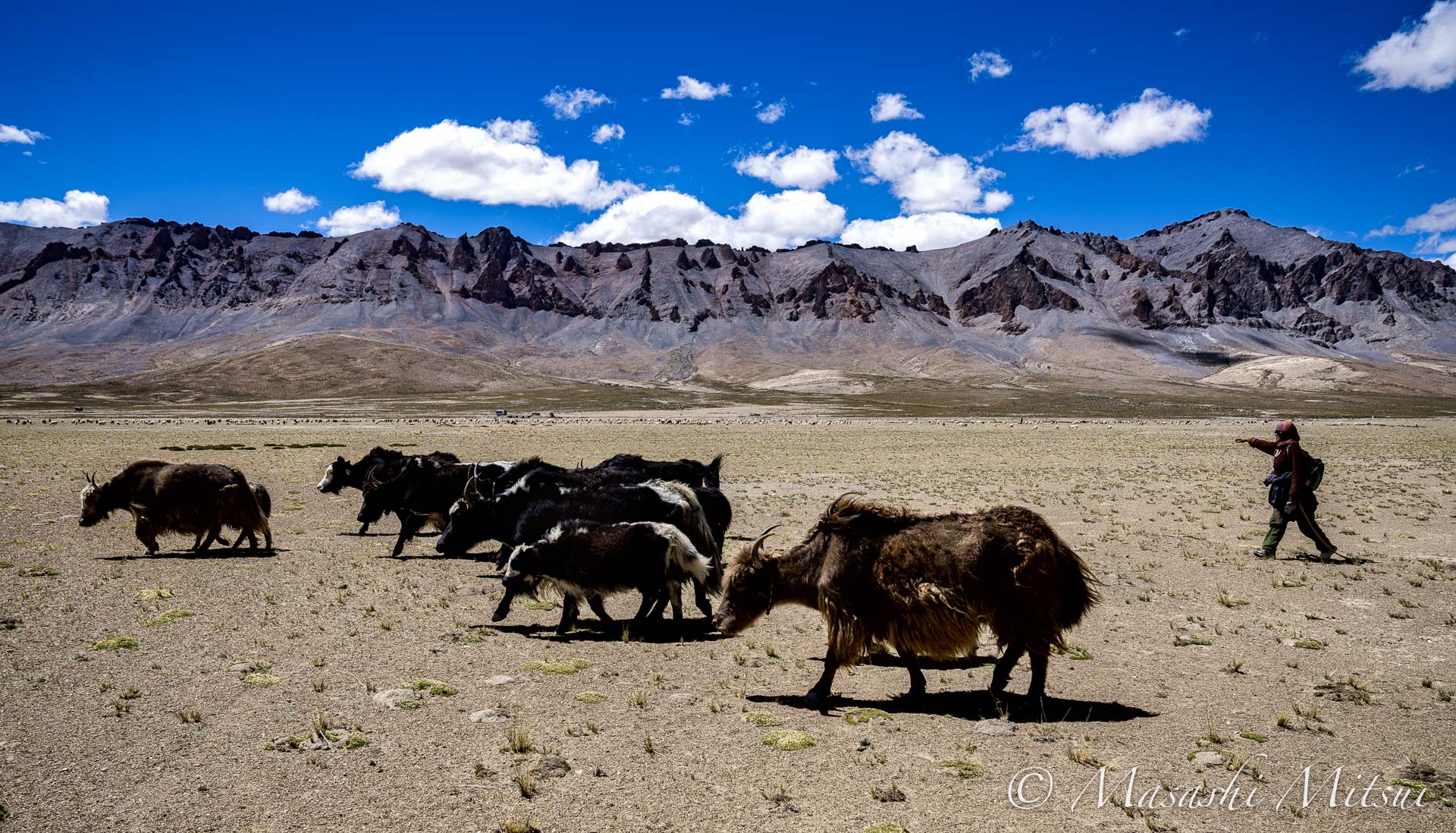 ladakh24-16153