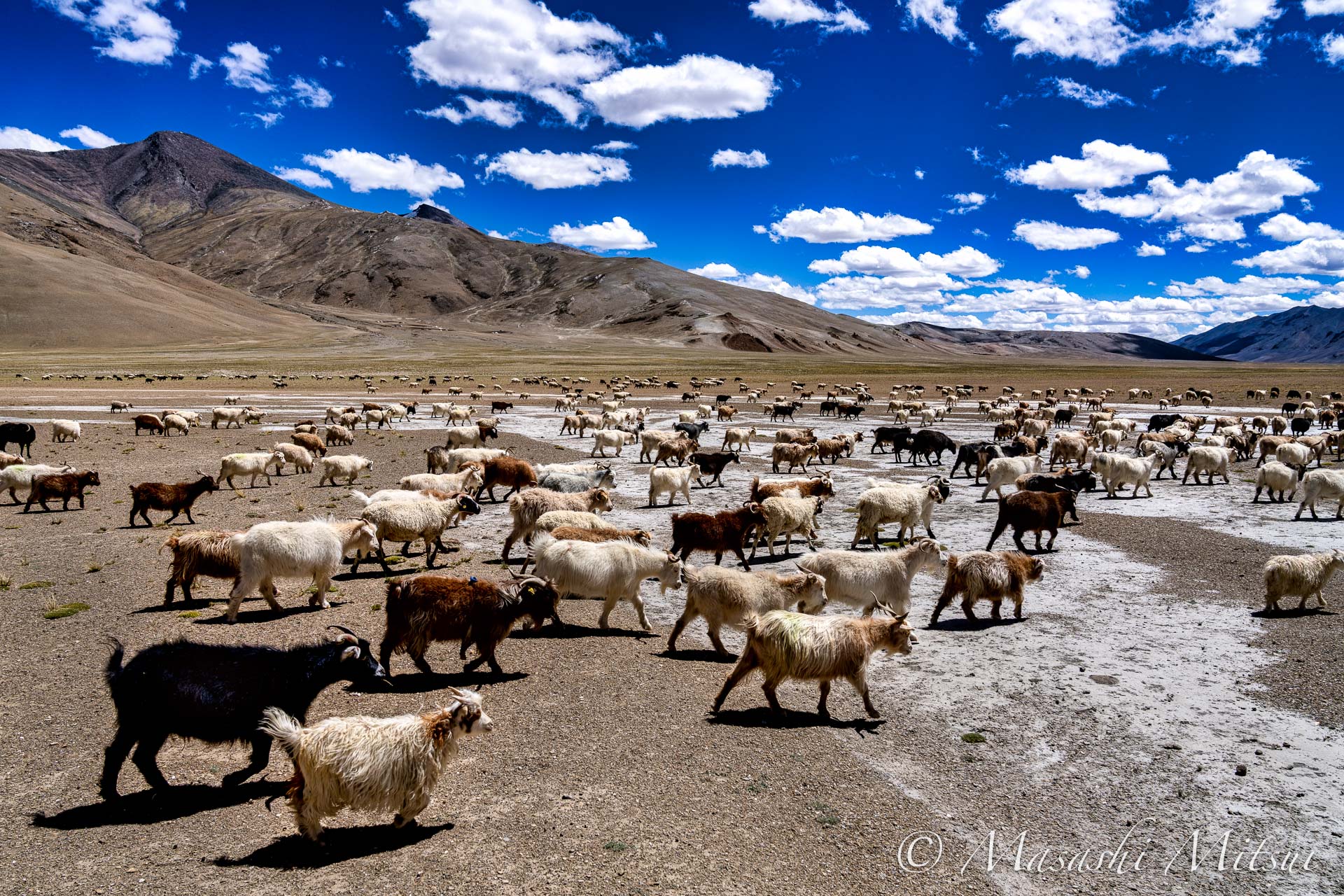 ladakh24-16332